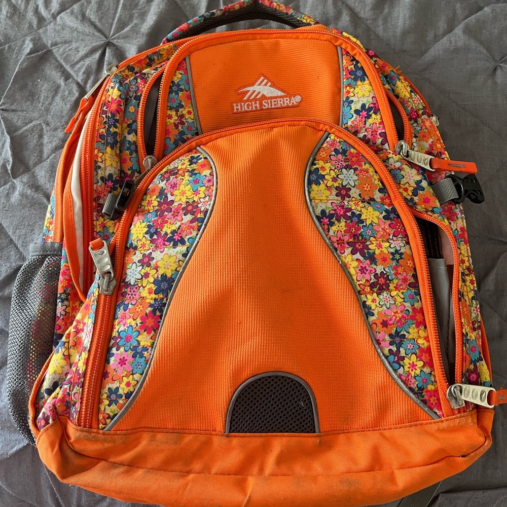 Backpack with laptop sleeve. Lots of room for computer and books!